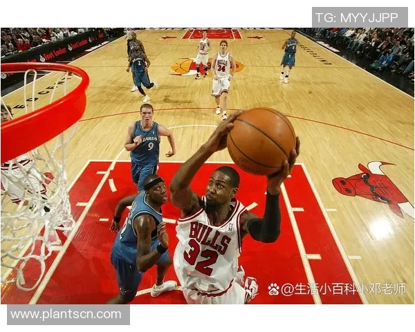 重庆篮球队实力之争引发热议球迷观点各异看法不一